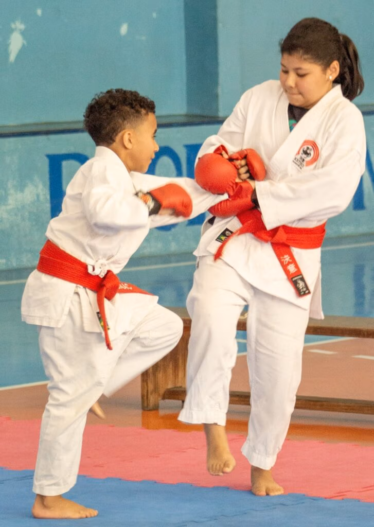 kumitê troca de faixa