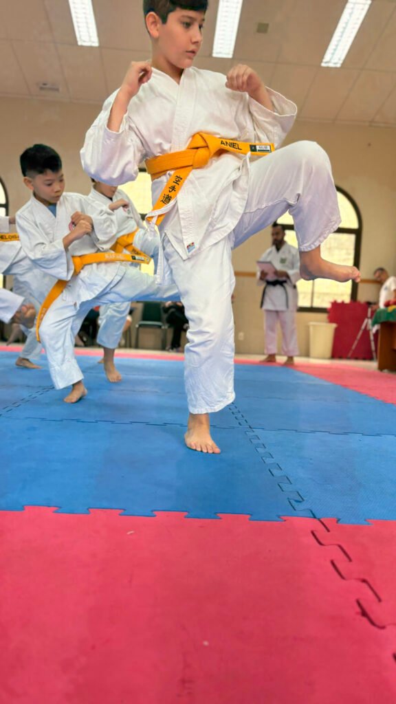 Elevação de pernas para execução de chute lateral ( Yokogueri )