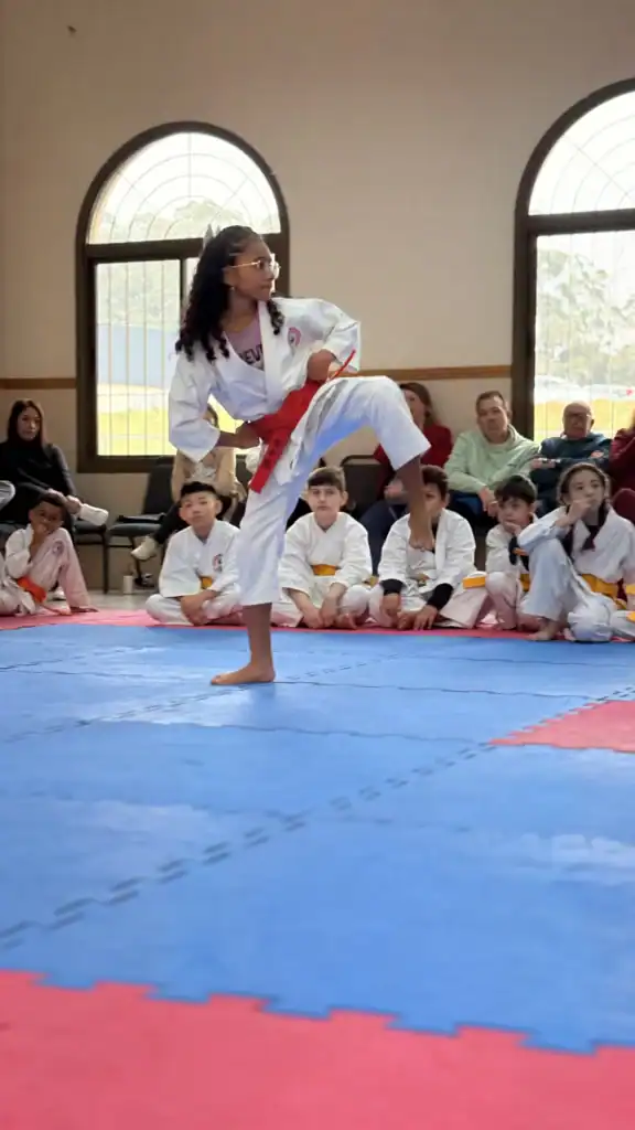Evolução dos movimentos do Kata